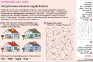 Какие-упражнения-помогут-быстро-развить-логику-и гибкость-мышления?