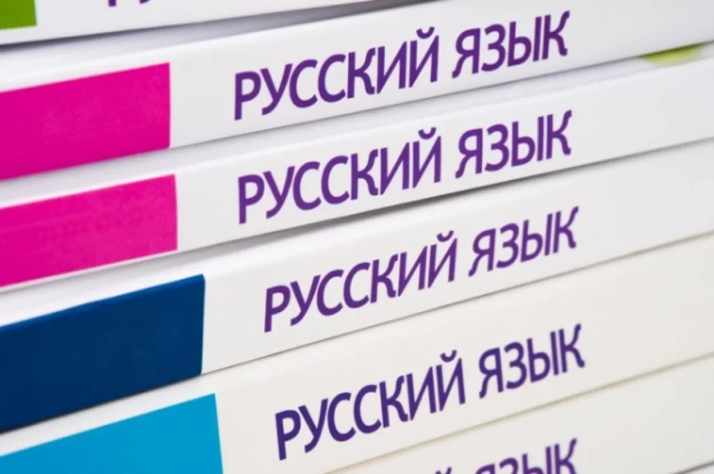 Уровень русского языка будут проверять у мигрантов для приема в школы