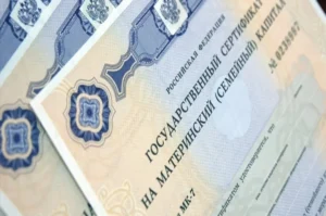 В-ОП-призвали-удваивать-маткапитал-при-появлении-второго-ребёнка-за-3-года