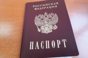 В-ОП-предложили-начать-вписывать-внуков-в-паспорта-бабушек-и-дедушек
