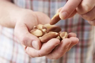 Опасная-еда.-Названы-продукты-питания-с-повышенной-радиацией-и-ртутью