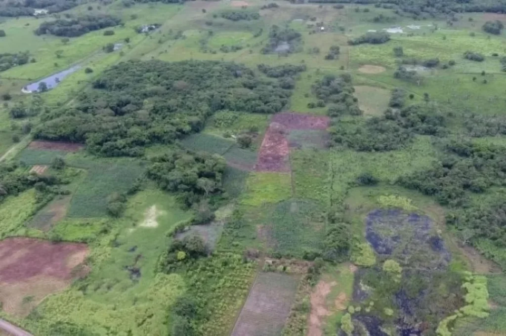 Обнаруженный-в-2020-году-храм-майя-оказался-«космограммой»