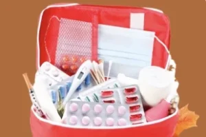 Аптечка-на-осень:-как-подготовиться-к-простудам-и-обострениям-хронических-болезней-|-Аргументы-и-Факты